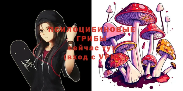 тгк Пестово